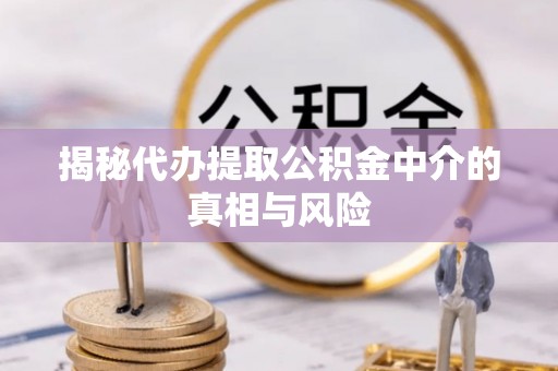 钦州揭秘代办提取公积金中介的真相与风险