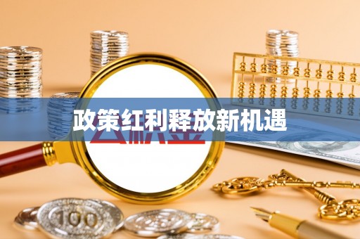 钦州政策红利释放新机遇