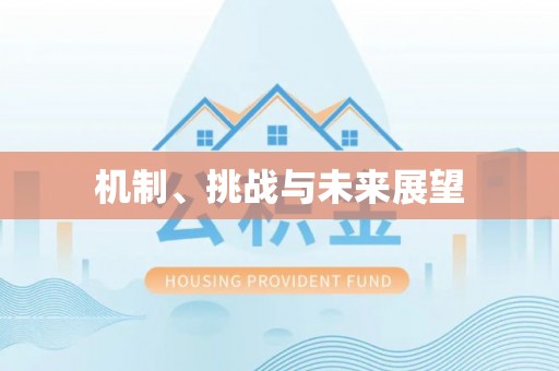 钦州机制、挑战与未来展望
