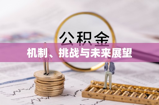 钦州机制、挑战与未来展望